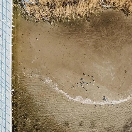 Appartement Tamara Blueapart Jurata