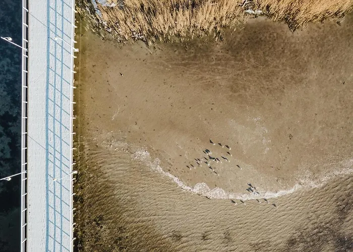 Apartament Tamara Blueapart Jurata